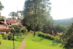 Pousada Águia da Montanha
